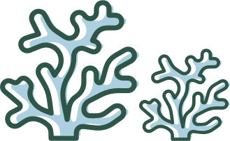 coral reef graphic
