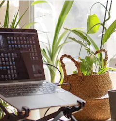 The young professional’s guide