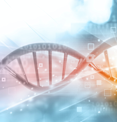 Analyzing Your Church’s DNA