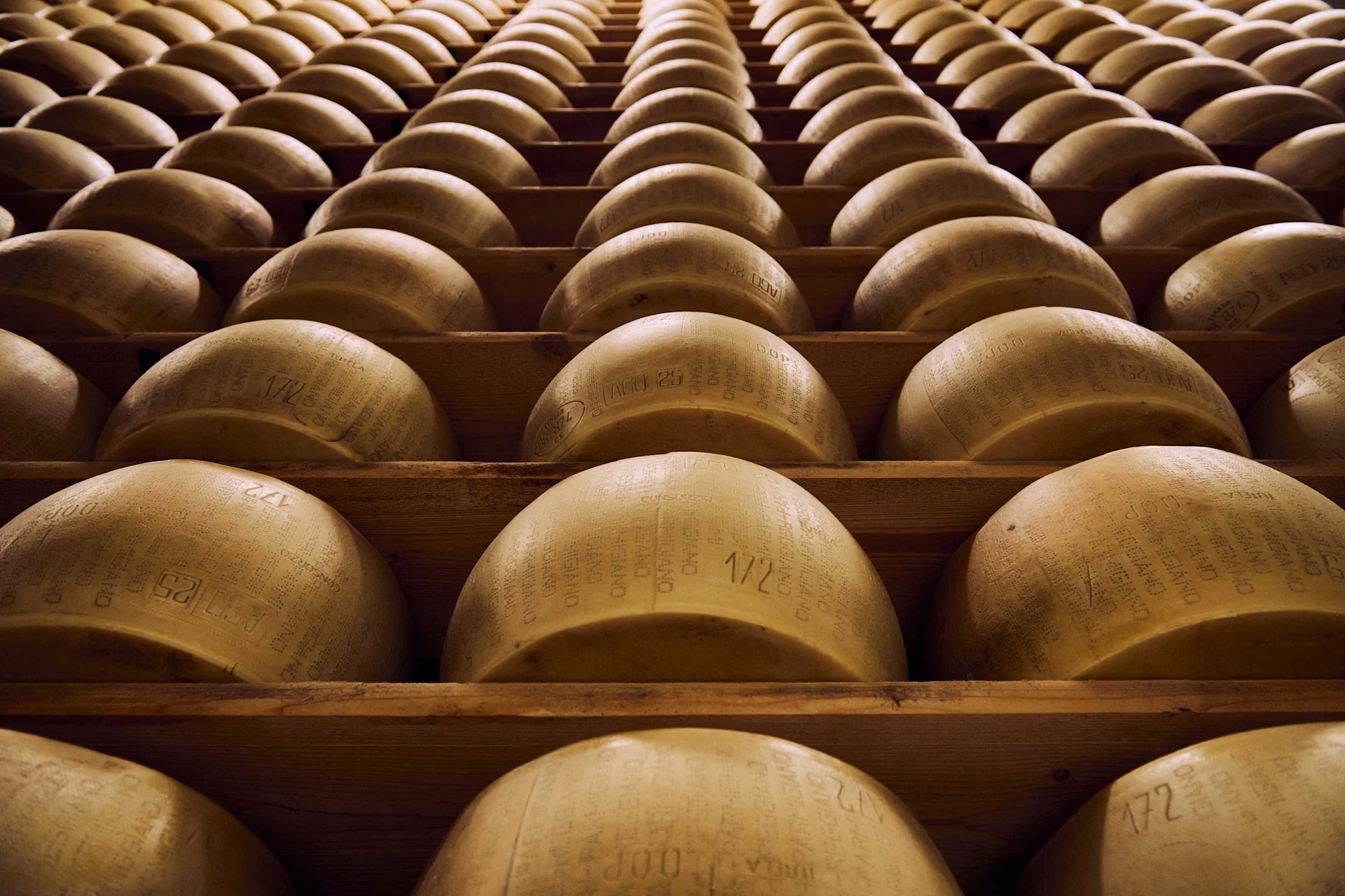 Where Parmigiano Reggiano comes from Parmesan loaves lie on the shelves in the warehouse.
