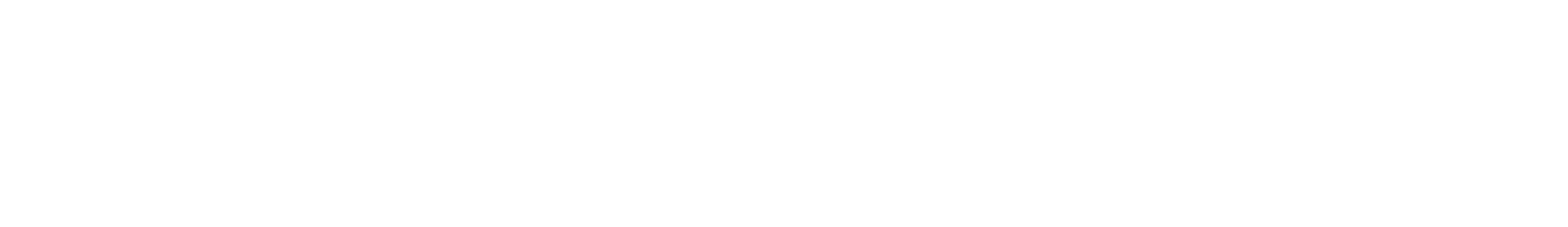 logo - Interactive Brokers (white)