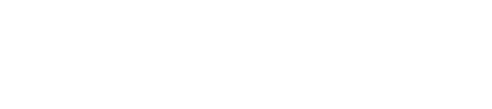 logo - Morningstar (white)