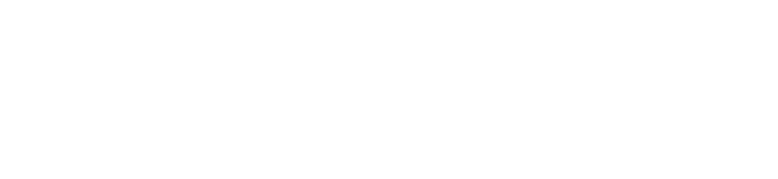 logo - Diversiview (white)