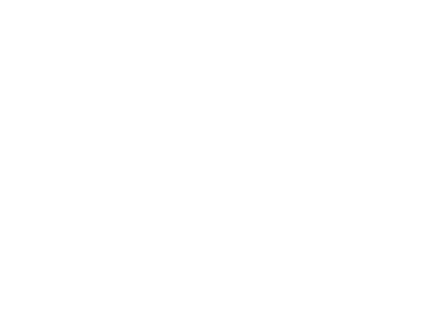logo - DataMuse (white)