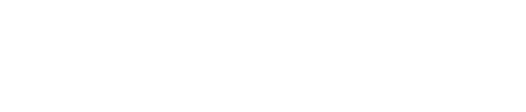 logo - Stockfox (white)