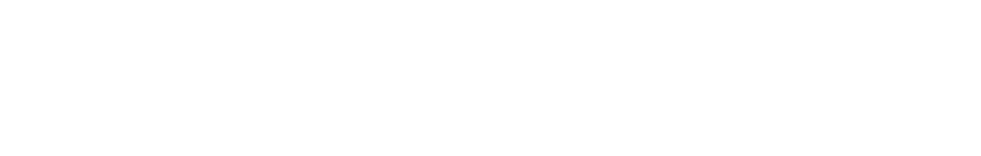 logo - myprosperity (white)