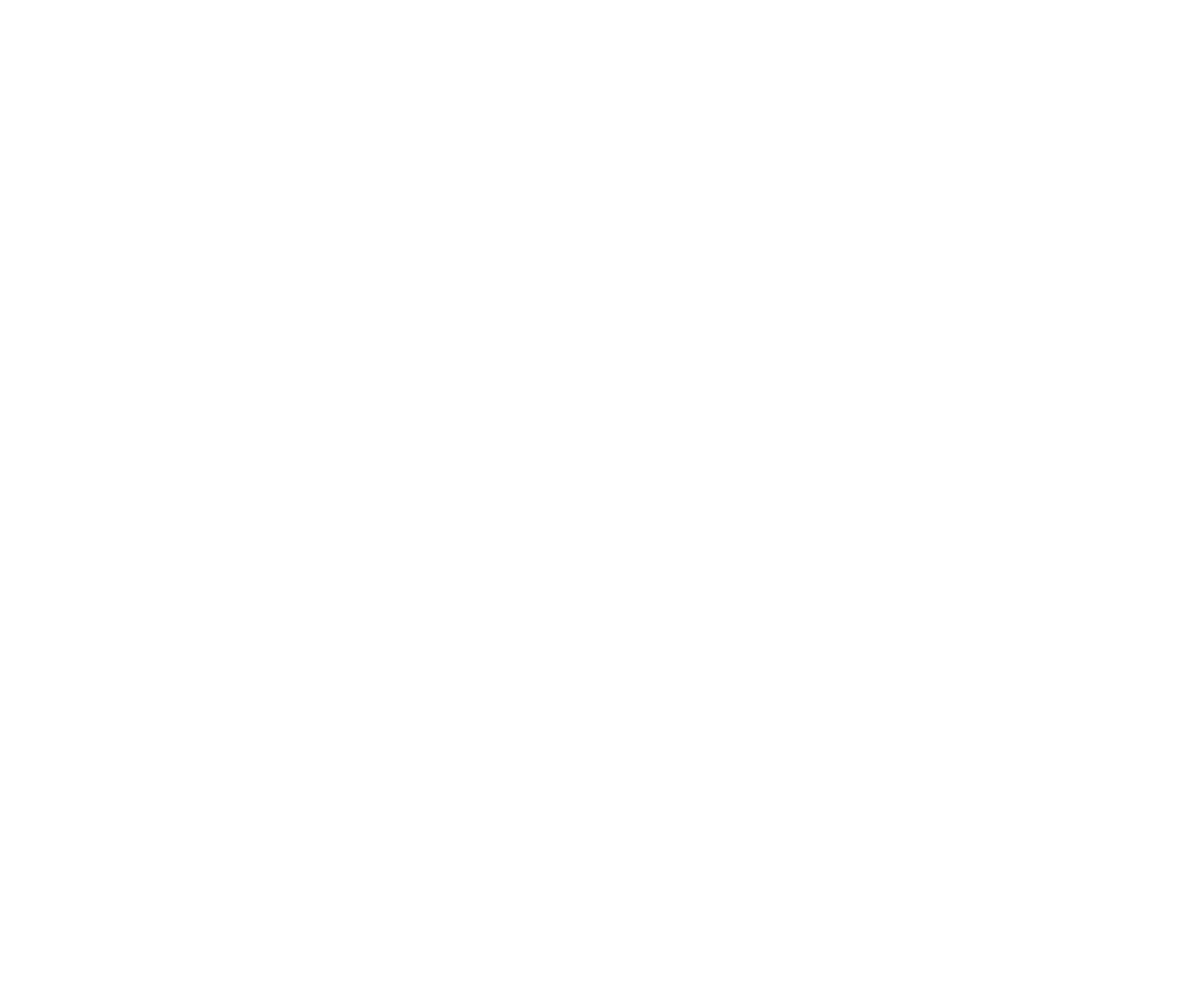 logo - The Motley Fool (white)