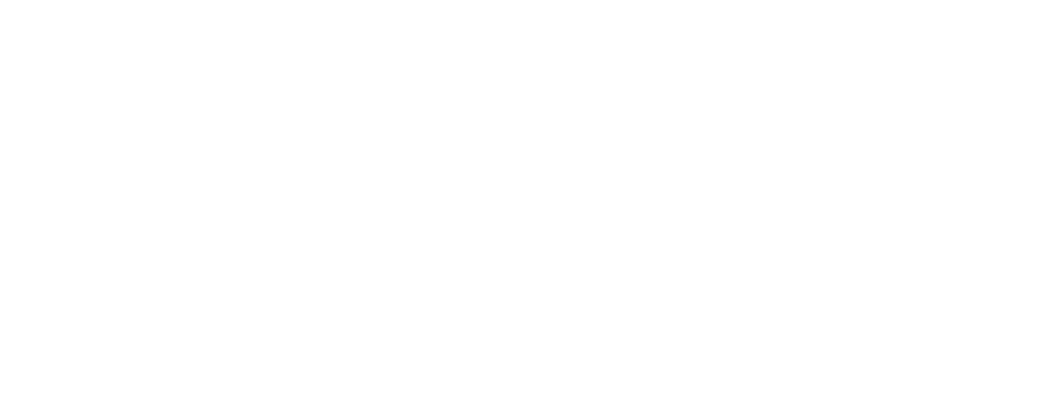 logo - KPMG (white)