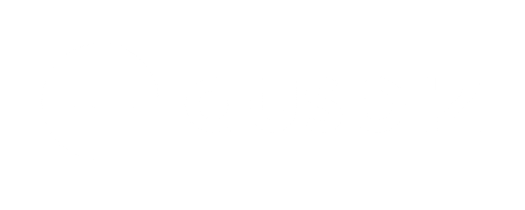 logo - ausbiz (white)