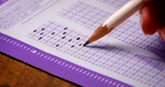 A filled in scantron