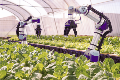 futuristic robot automation to vegetable farm