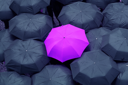 从上面看，一把紫色的伞被几把黑色的伞包围着 