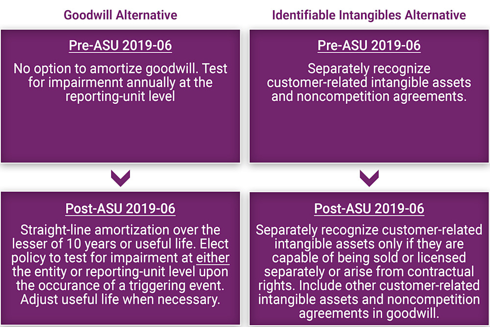 An NFP may elect the Goodwill Alternative (Topic 305) and not the Identifiable Intangibles Alternative (Topic 805). However, if an NFP elects the Identifiable Intangibles Alternative, it must also adopt the Goodwill Alternative to amortize goodwill.