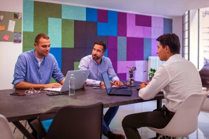 Group of male entrepreneurs at work in office