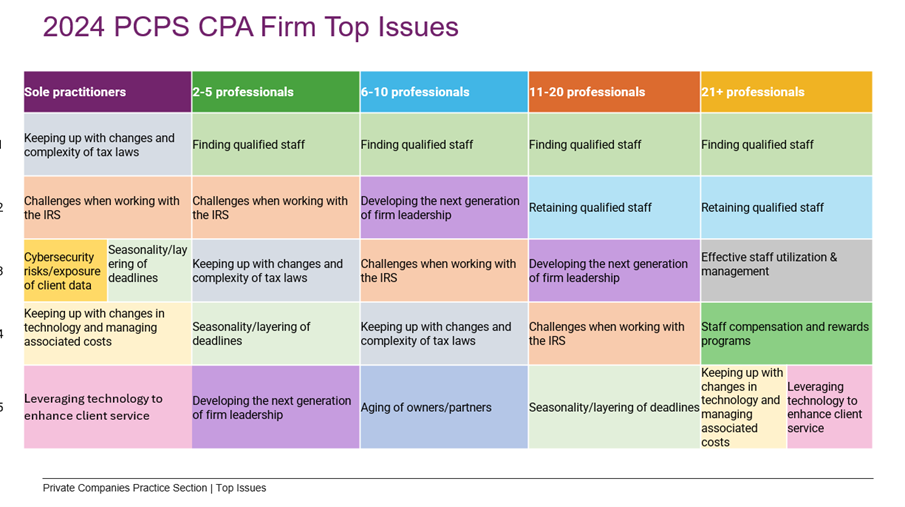 2024 PCPS CPA Firm Top Issues