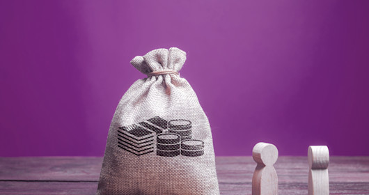 Bag of money