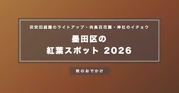 墨田区の紅葉スポット2026|旧安田庭園のライトアップ(11/19〜12/27)・向島百花園・神社のイチョウ