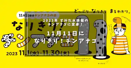 2023年 すみだ水族館のチンアナゴに変身!11月11日は「なりきりチンアナゴの日」