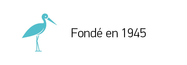 BOSS-jobsite-wist-je-datjes-639x225px-FR-13032025 03