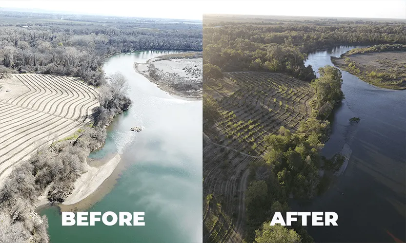 Brayton before and after