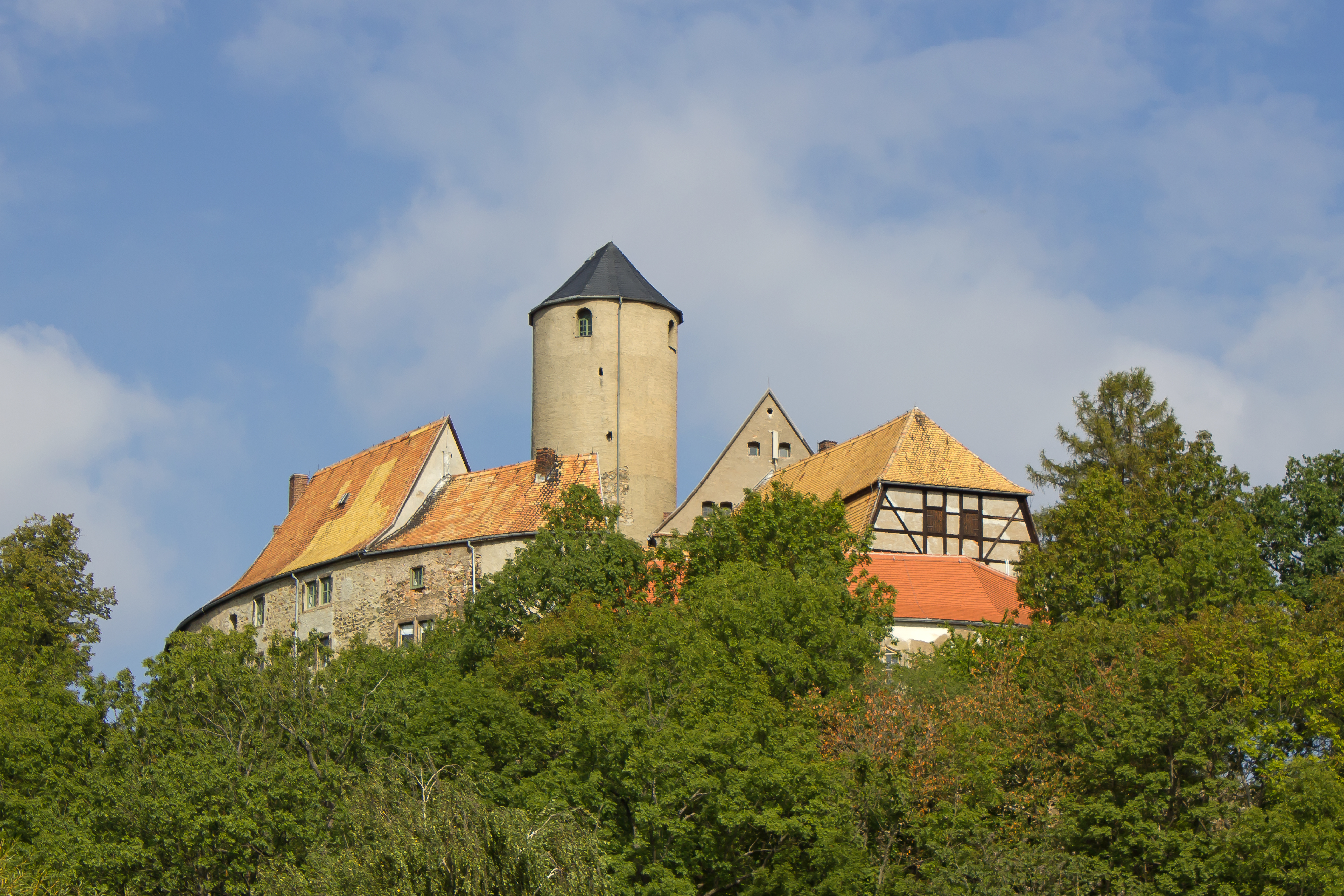 Zwickau - Ansicht Burg Schönfels