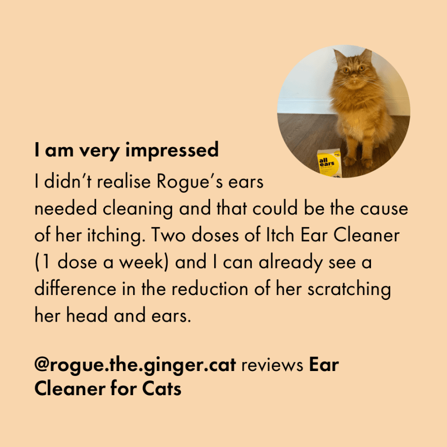 Itch Ear, Liquid Ear Cleaner for Cats and Dogs, customer review
