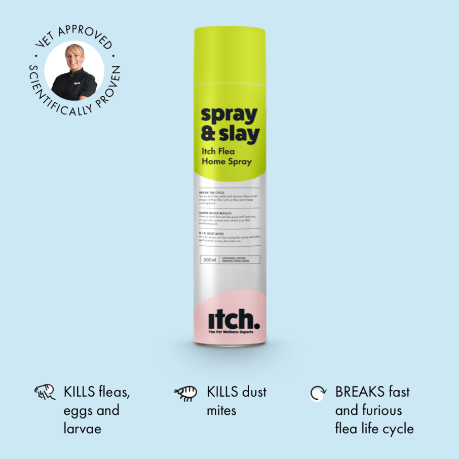 Itch Flea Home Spray, Flea, flea egg and dust mite household spray - image of Itch Flea spray can