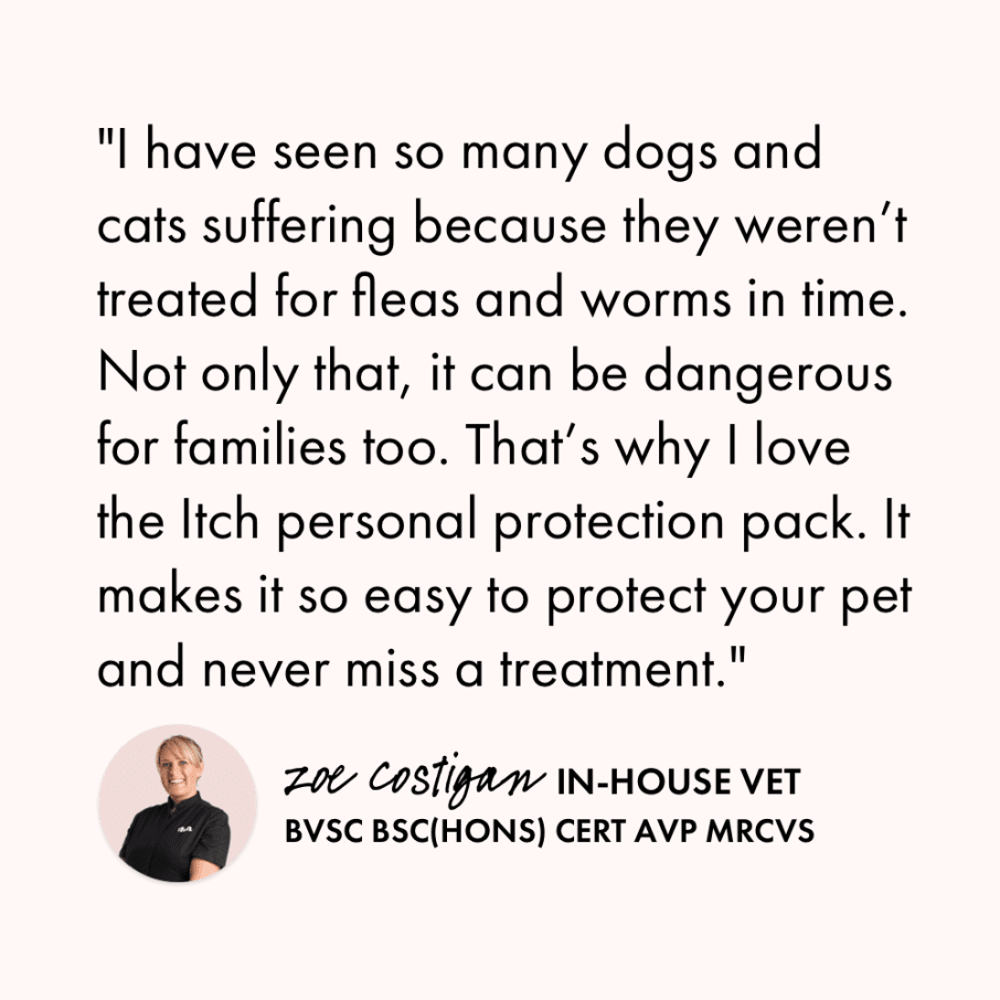 Itch Flea and Worm vet quote. "I have seen so many dogs and cats suffering because they weren't treated for fleas and worms in time. Not only that, it can be dangerous for families too. That's why I love Itch personal protection pack. It makes it so easy to protect your pet and never miss a treatment." Zoe Costigan, In-House Vet.