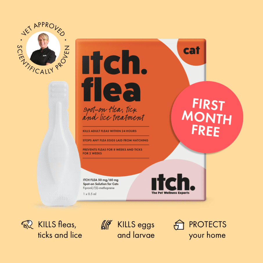 Itch Flea Spot-on Flea, Tick & Lice Treatment for Cats & Dogs - Box with Pipette.
