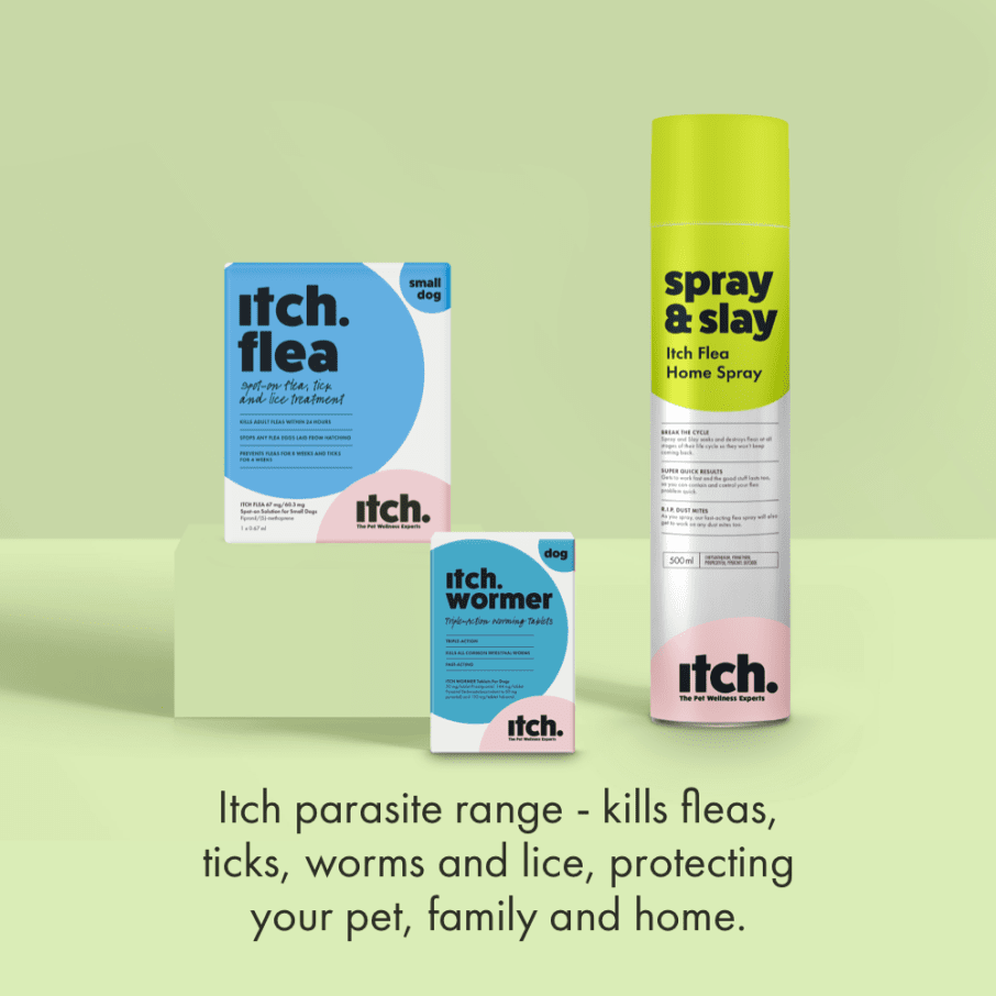 Itch Flea Spot-on Flea, Tick & Lice Treatment for Cats & Dogs - Itch Flea, Itch Wormer and Itch Flea spray group image