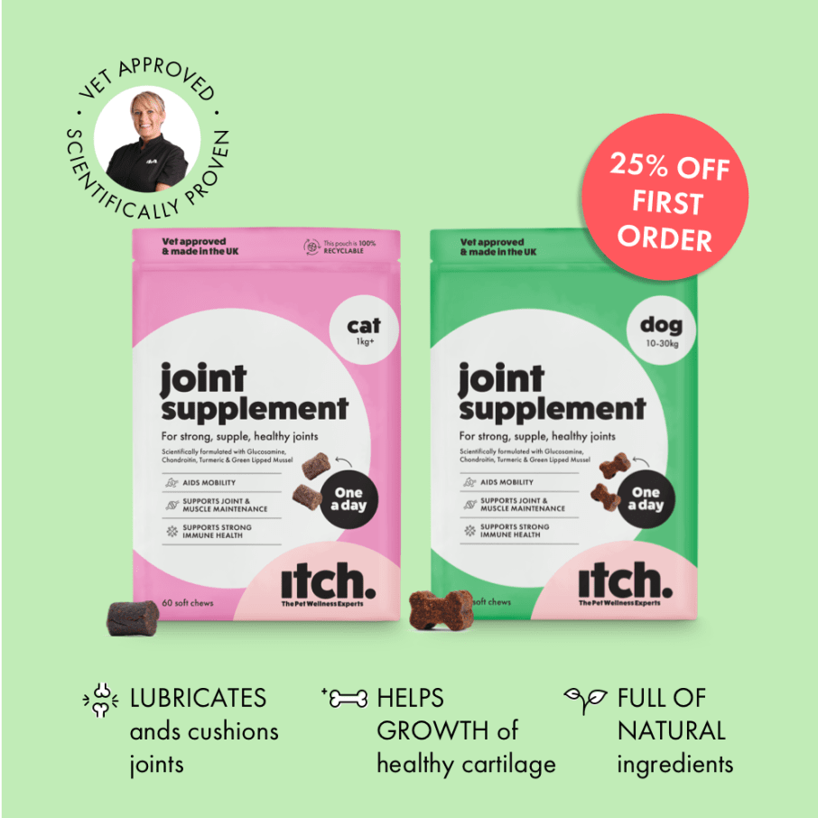 Itch Jump For Joy Chews, Soft Chew supplements for cats and dogs, Image of box with treat 25% off first order