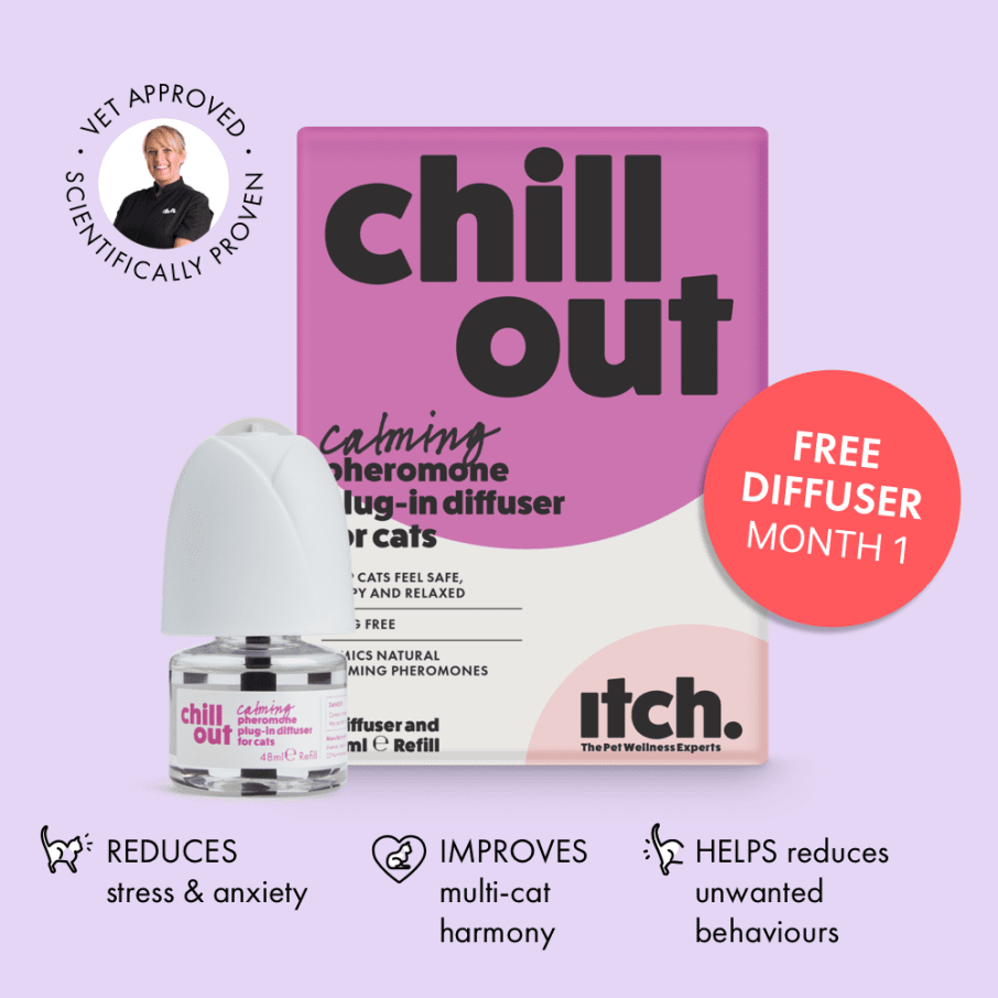 Itch Chill Out - Vet approved calming pheromones plug-in diffuser for cats - Box with diffuser and refill 