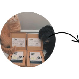 Itch homepage - image of cat and dog with Itch Flea pet packs - customer plans