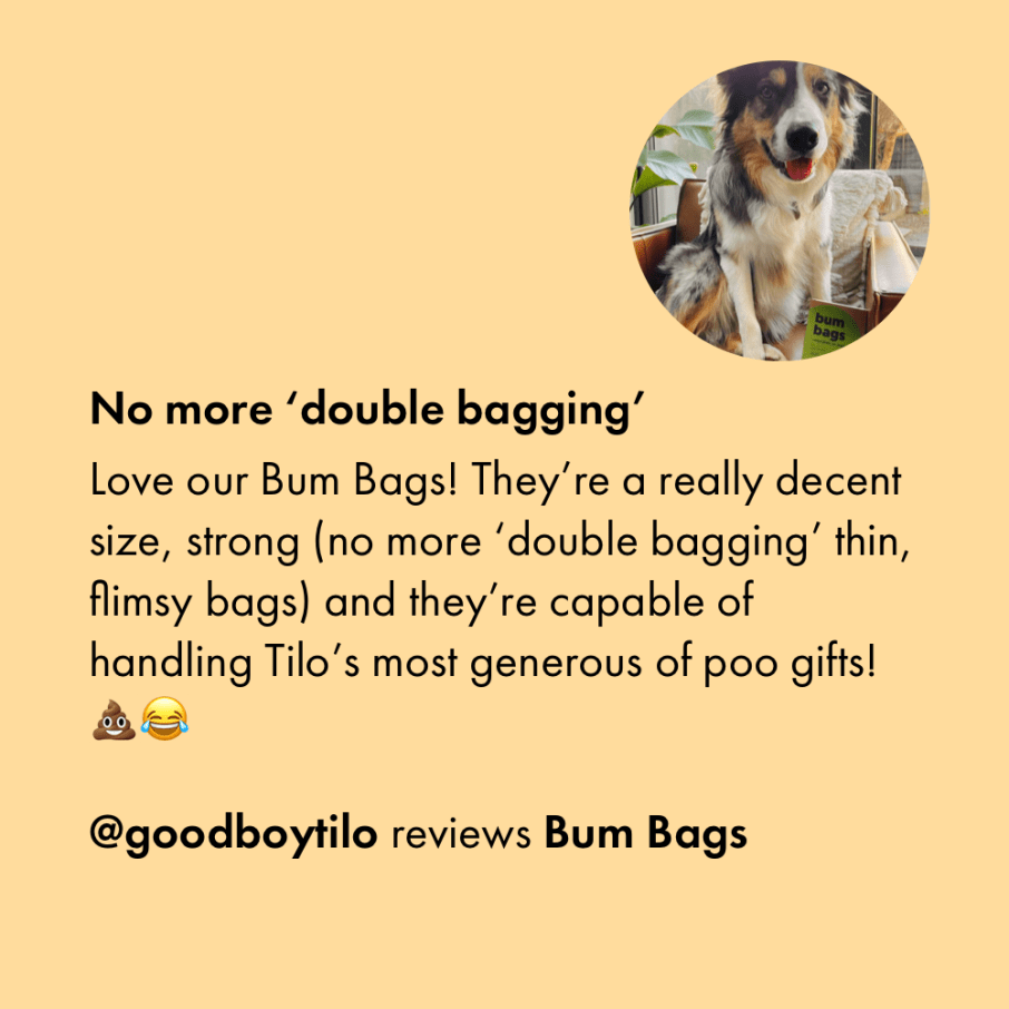 Itch Bum Bags, Plastic Free Compostable poo bags for Dogs - customer review
