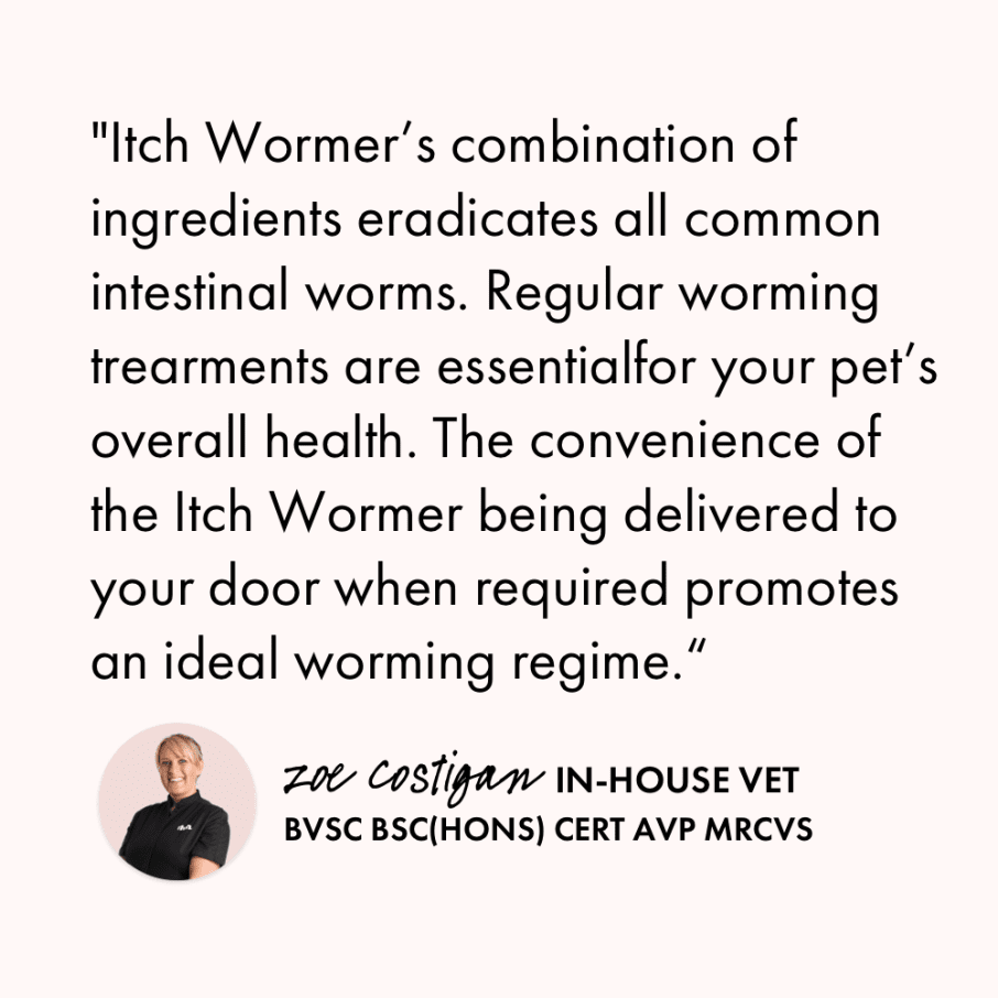 Itch Wormer Tablet, Double-Action worming tablets for Cats & Dogs - Vet quote