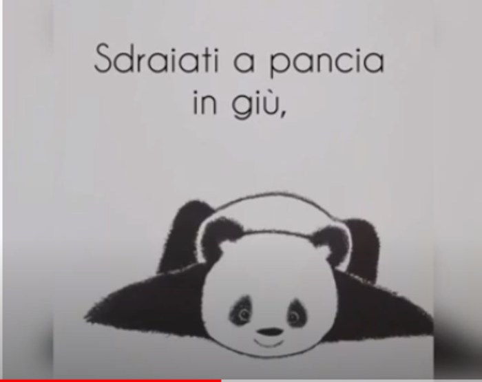 cover pandino cosa fa