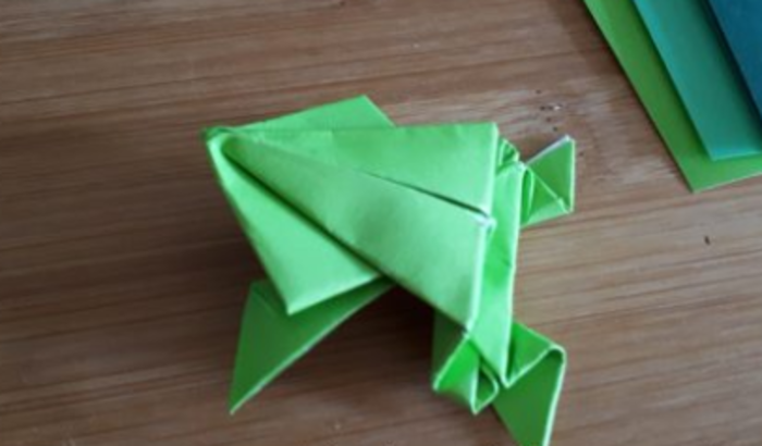 cover origami rana salterina