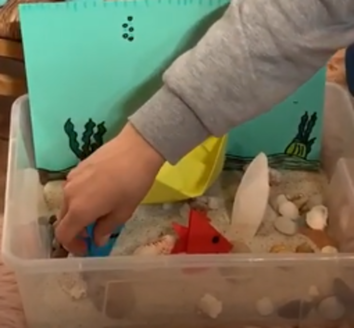 cover costruire un acquario