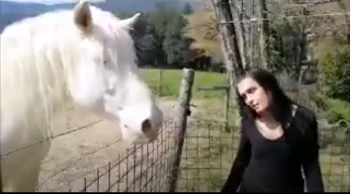 cover un giro in fattoria