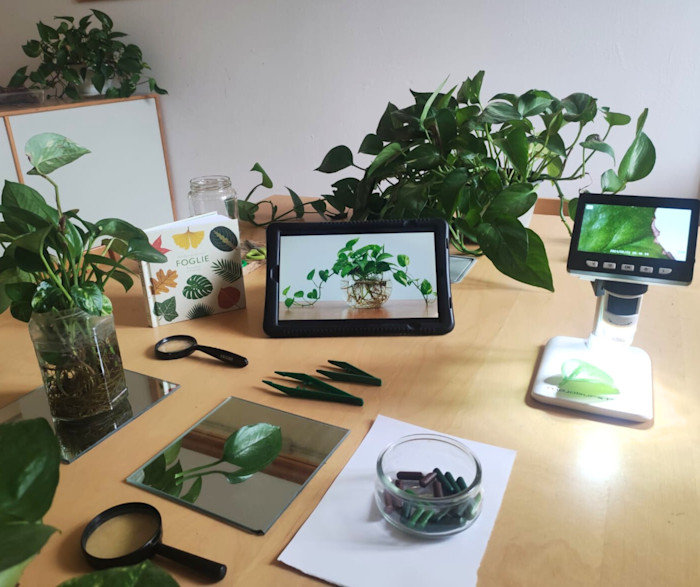 Promuovere competenze STEAM