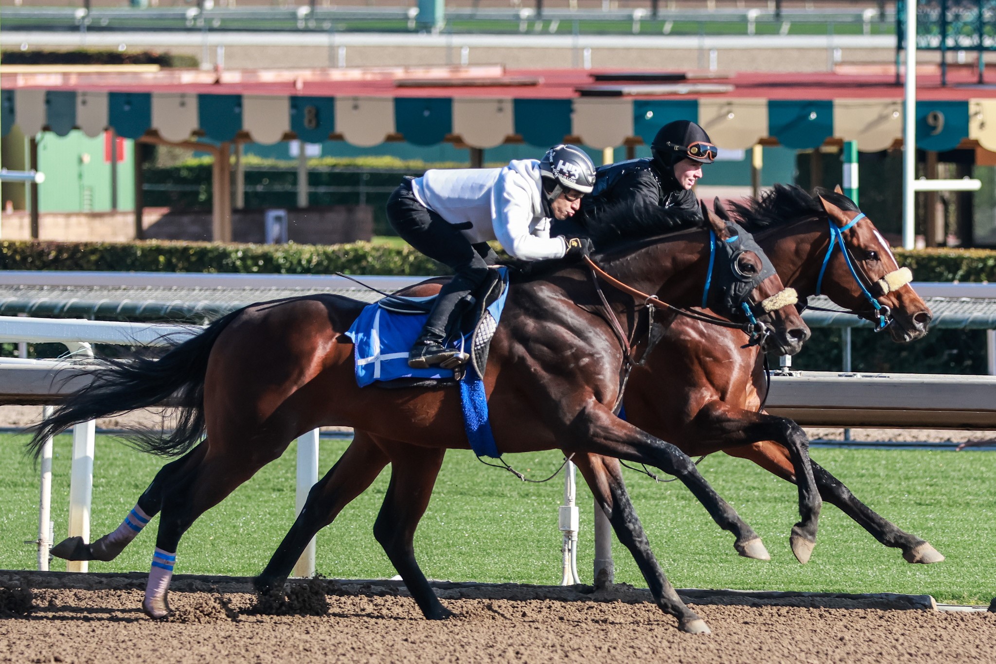 Baeza & Sophisticate (Inside) 3-15
