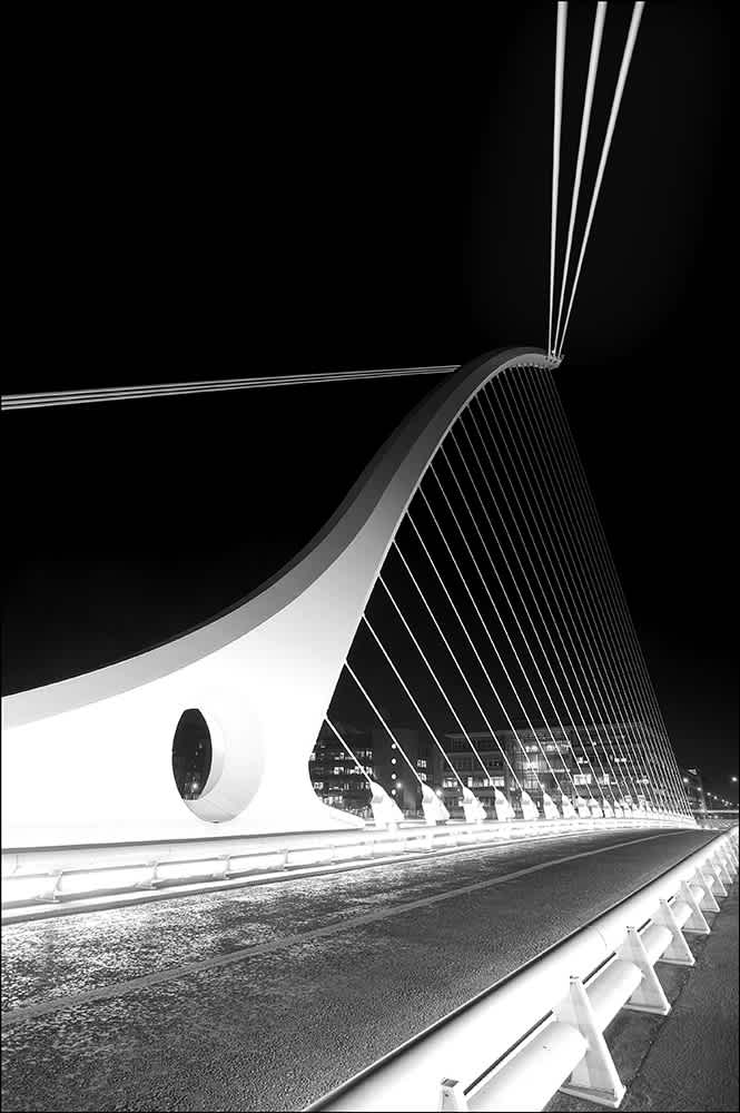 D201 - The Beckett Bridge, Dublin.