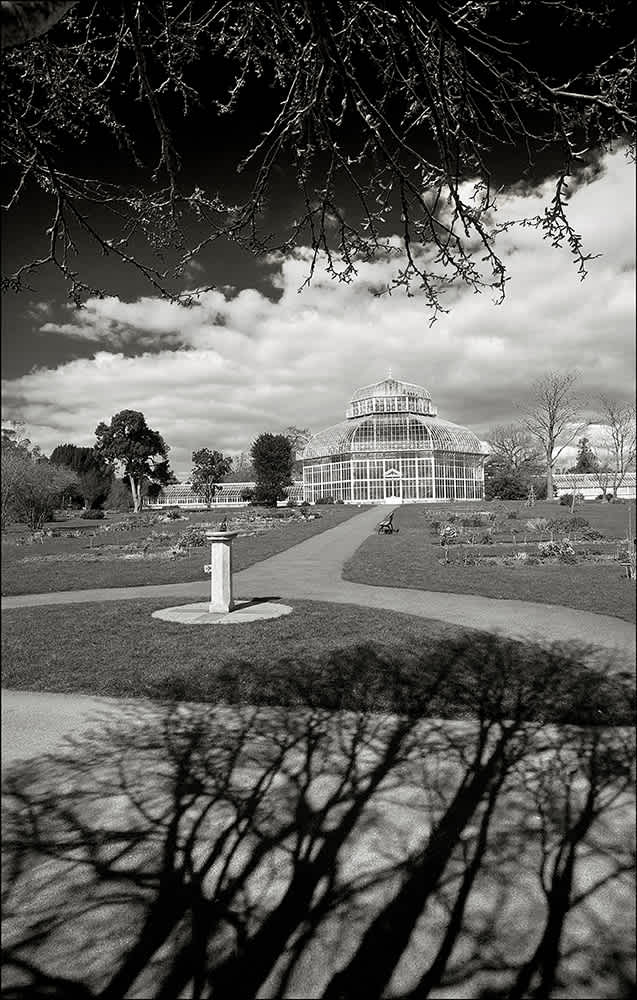 B161 - The Botanic Gardens, Dublin.