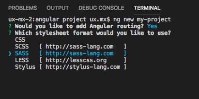 Select the format SASS Select the format SASS