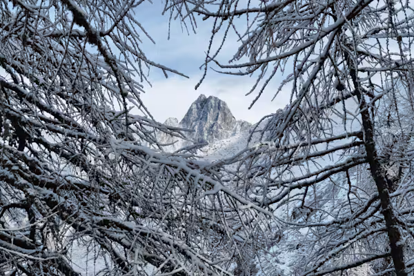 Il Sasso Manduino tra gli alberi