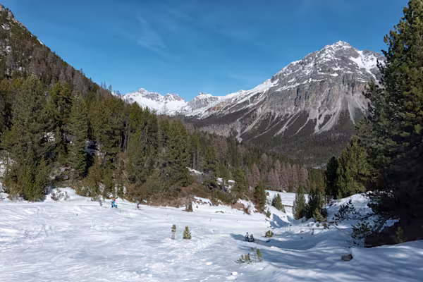 Dopo l’Alpe Buffalora