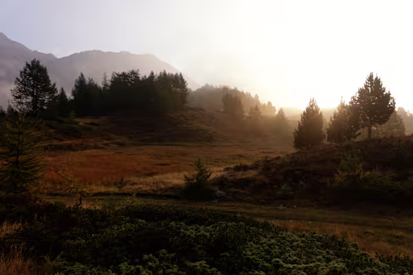 Sorge il sole