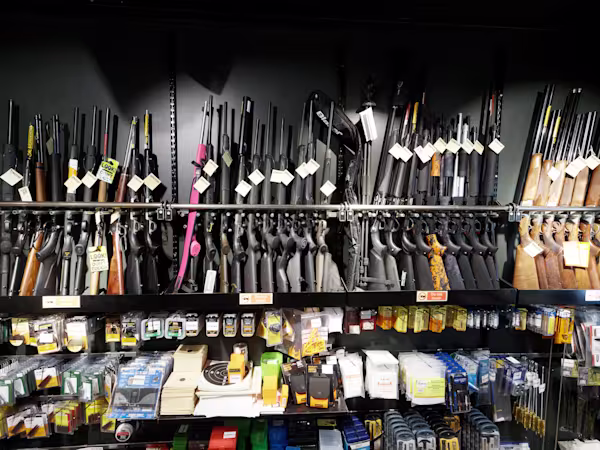Qui si comprano i fucili per gli orsi