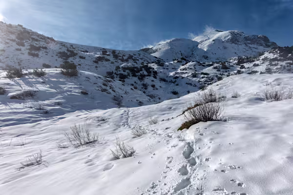 La Cresta dei Fiori dall’Alpe Campione