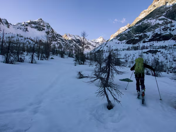 Slalom tra la vegetazione
